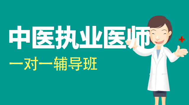 中医执业医师考试一对一辅导班