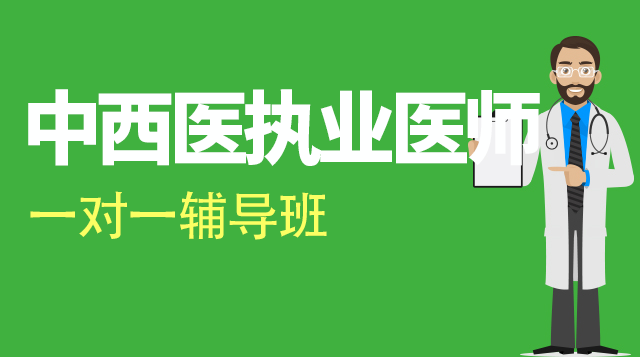 中西医执业医师考试一对一辅导班