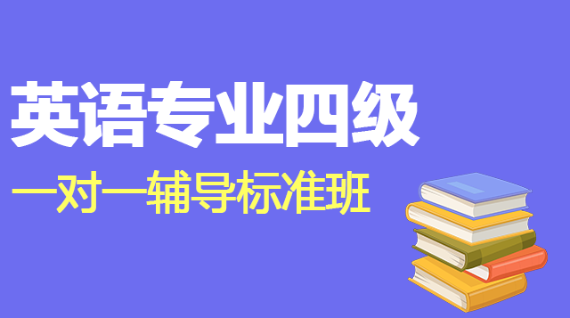 英语专业四级一对一辅导标准班