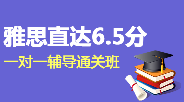 雅思直达6.5分一对一辅导通关班