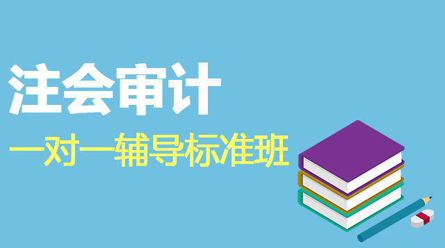 注会审计一对一辅导标准班